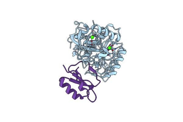 5FFN image
