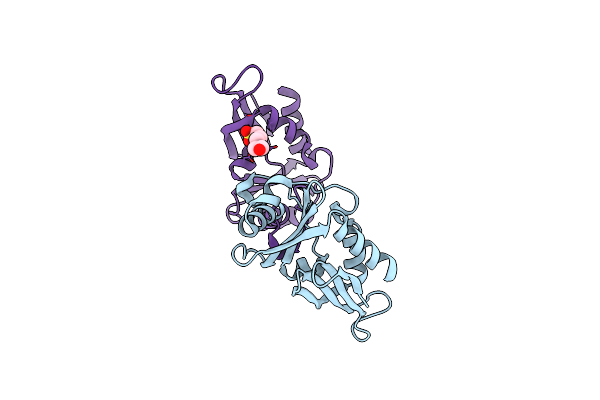 5FFP image