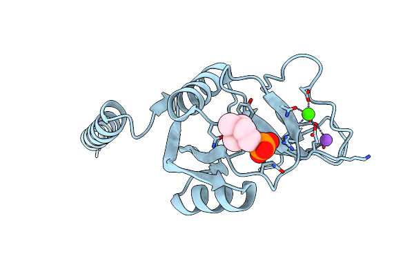 5FFR image