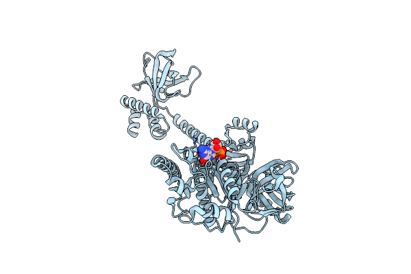 5FG3 image