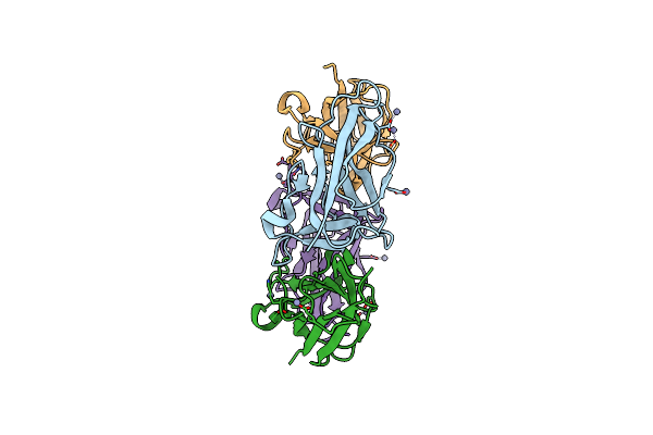 5FGS image