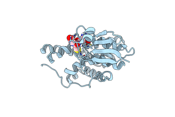 5FHI image