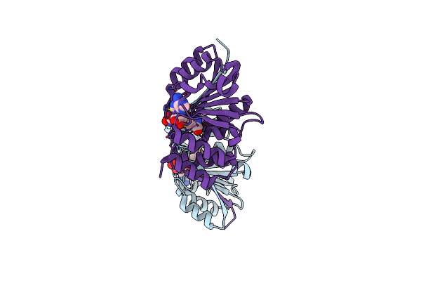 5FHR image