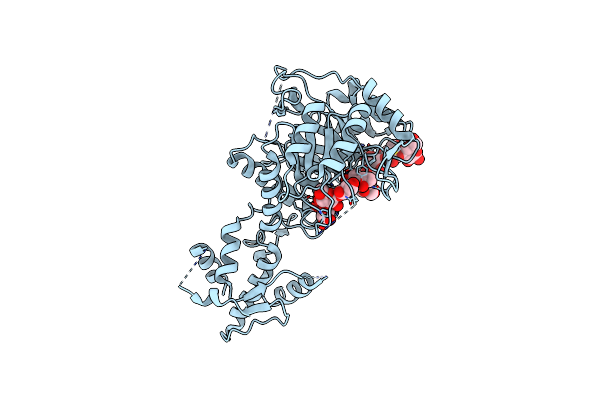 5FIH image