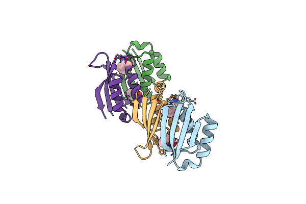 5FII image