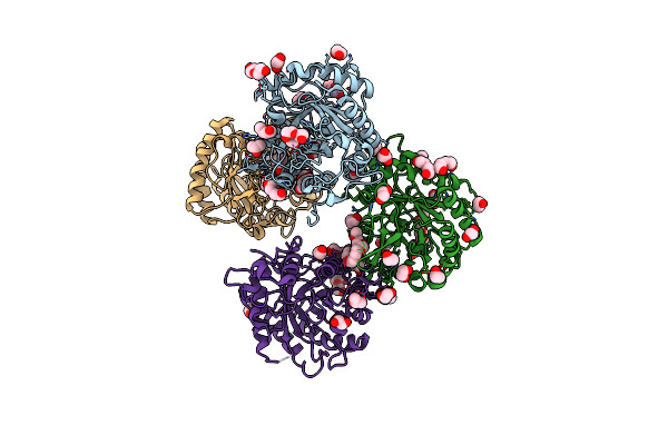 5FIP image