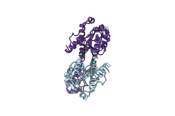 5FIS image