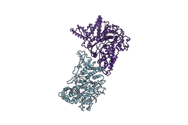 5FJ5 image