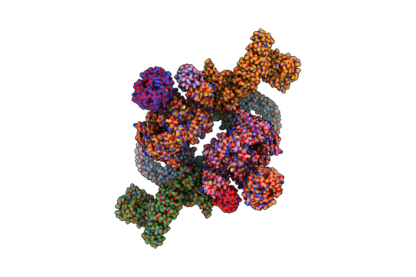5FLC image