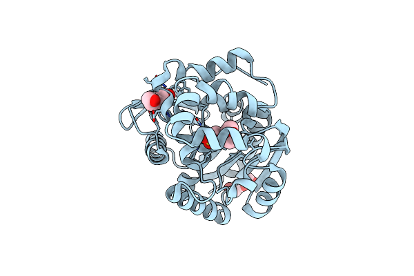 5FLK image