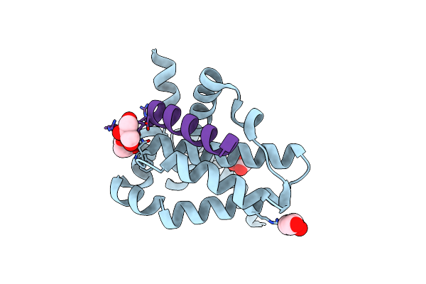 5FMK image
