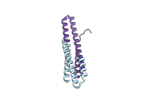 5FMN image