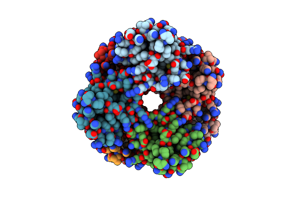 5FNA image