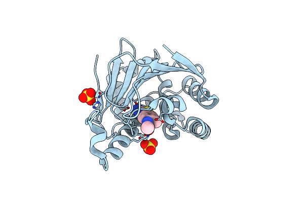 5FND image