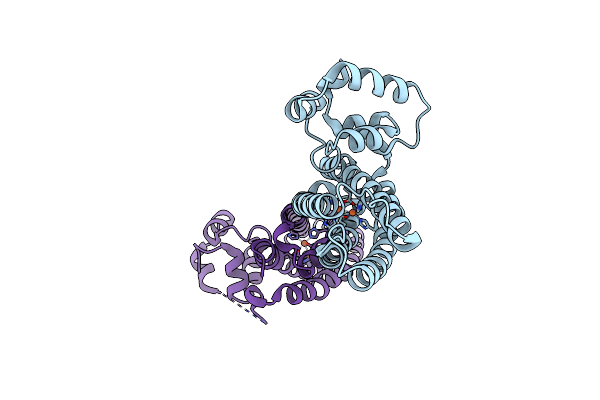 5FNN image
