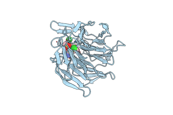 5FNS image