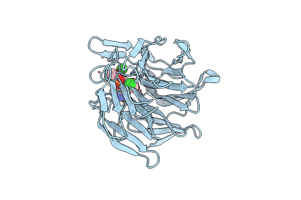 5FNT image