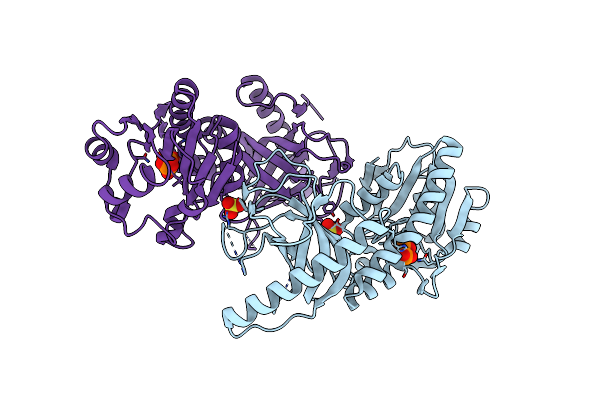 5FNZ image