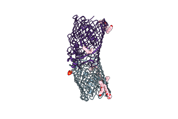 5FOK image