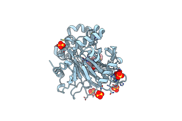 5FP8 image