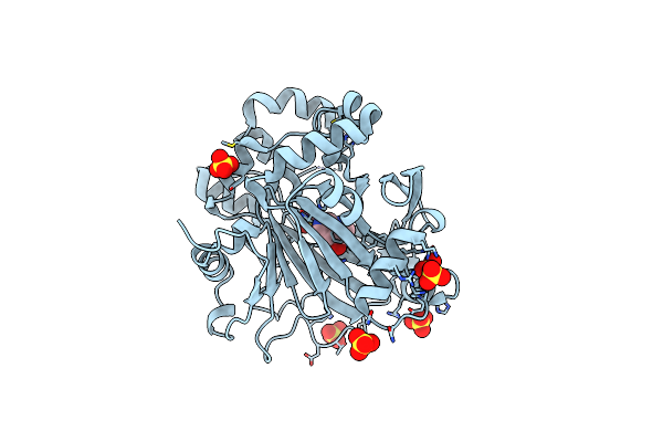 5FPA image