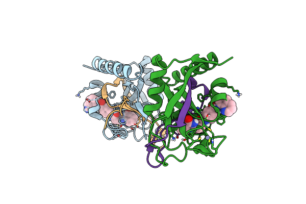 5FPF image