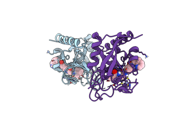 5FPG image
