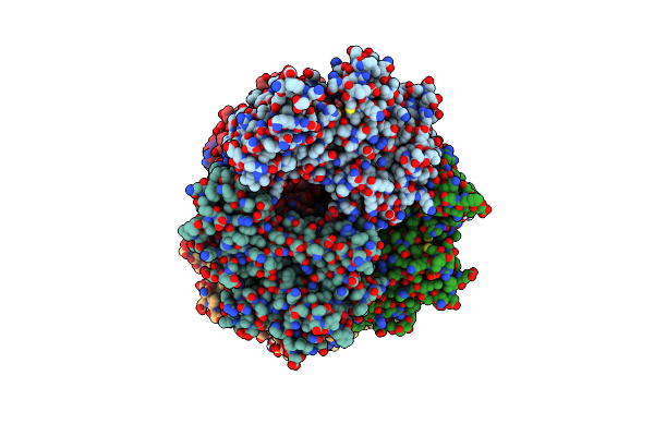 5FPH image
