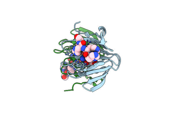 5FPX image