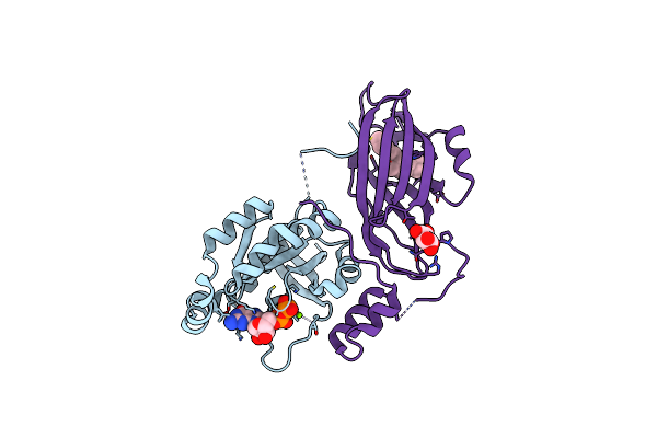 5FR2 image