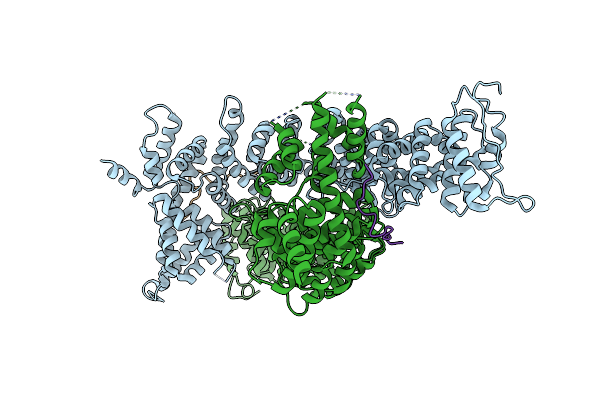 5FRP image