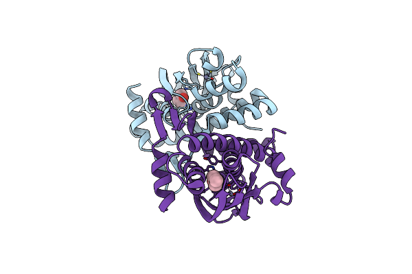 5FRV image