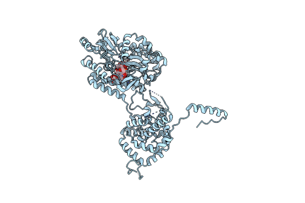 5FSG image