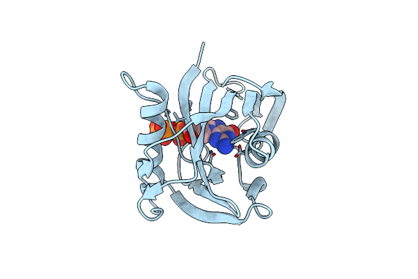 5FSI image