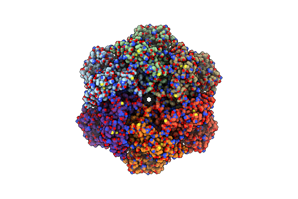 5FTK image