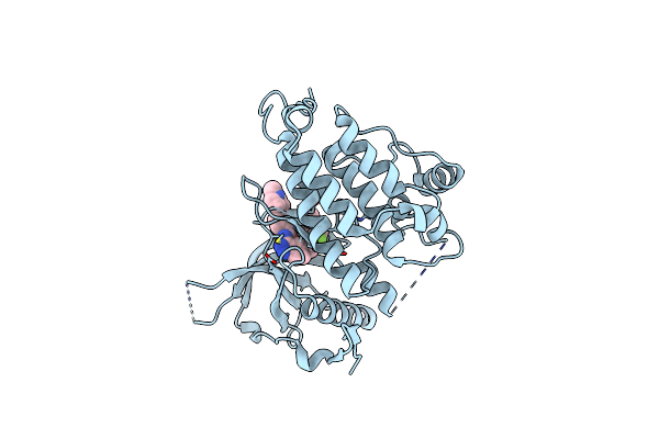 5FTO image