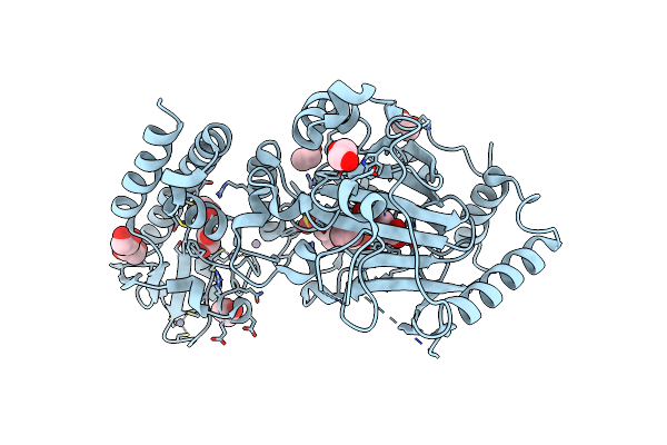 5FUP image