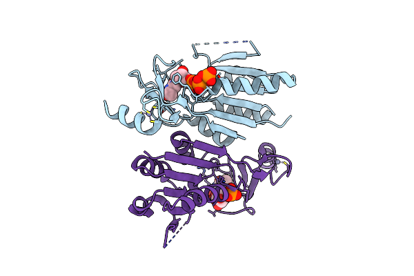 5FUW image