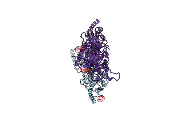 5FV0 image