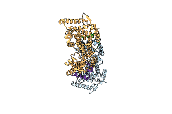 5FVD image