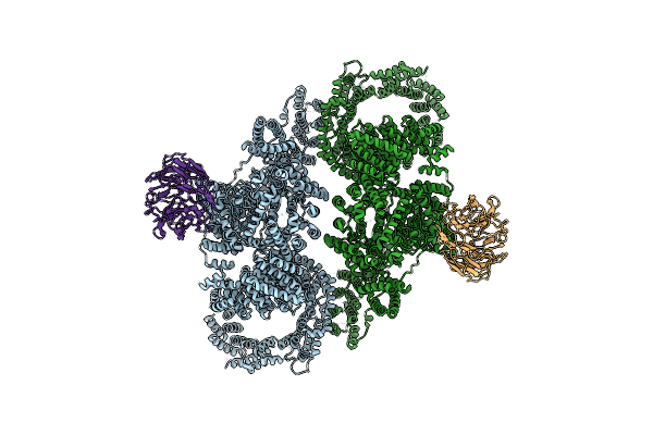 5FVM image