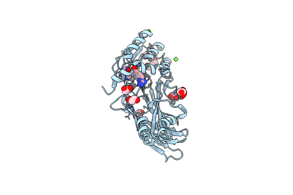 5FWD image