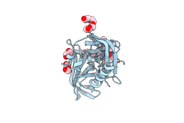 5FX5 image