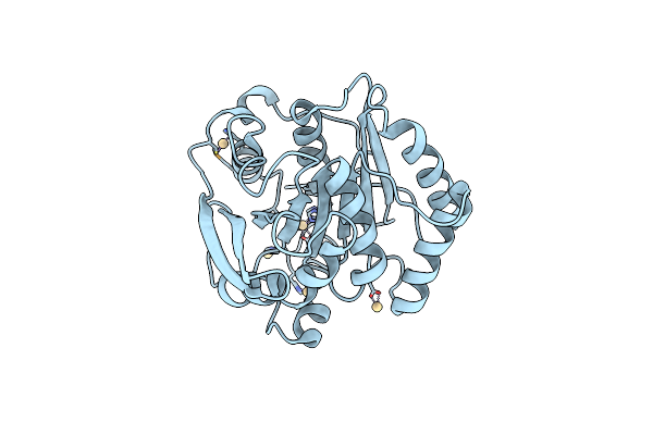 5FXM image