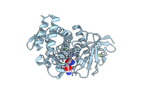 5FXN image