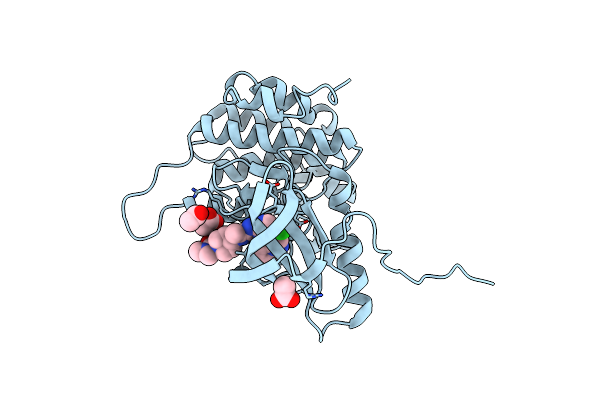 5FXS image