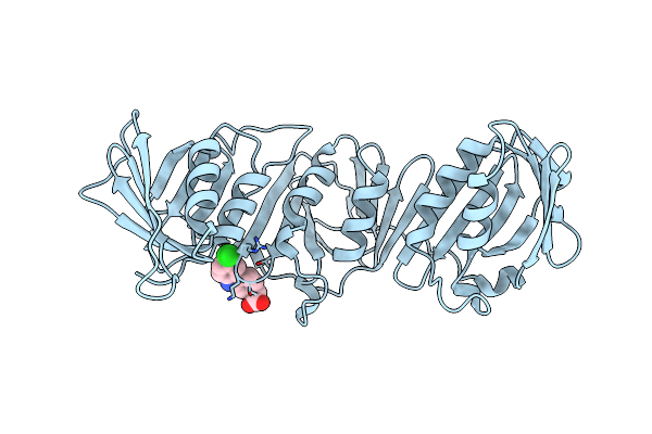 5FXT image