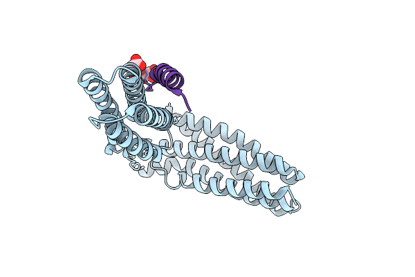 5FZT image