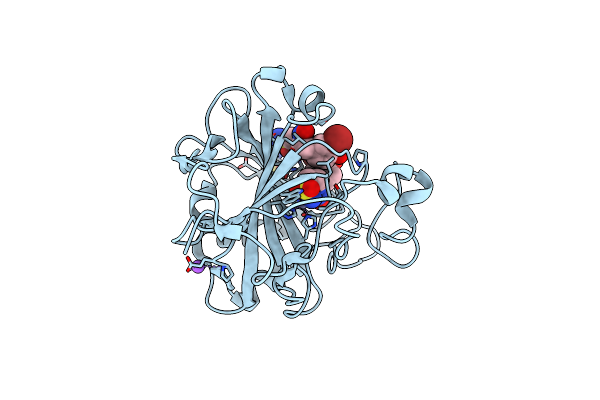 5G01 image
