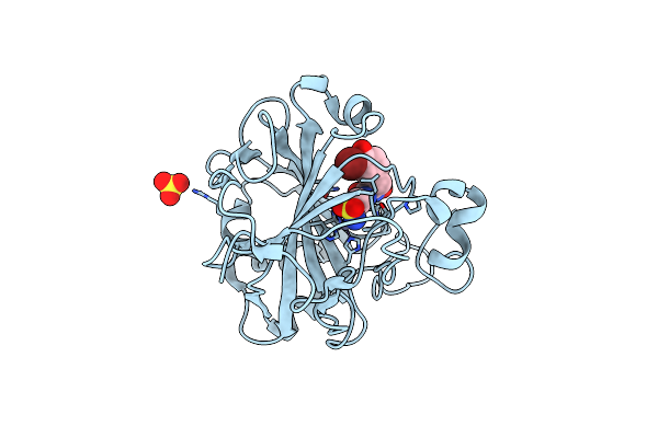 5G03 image